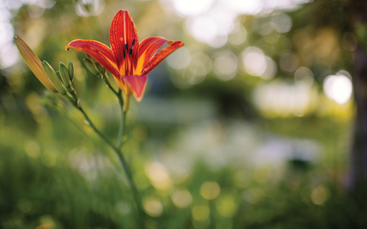 Hope Network Therapy and Counseling Locations and Contact Information